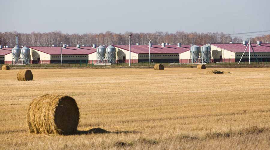 Environmental services to the pig farming communities